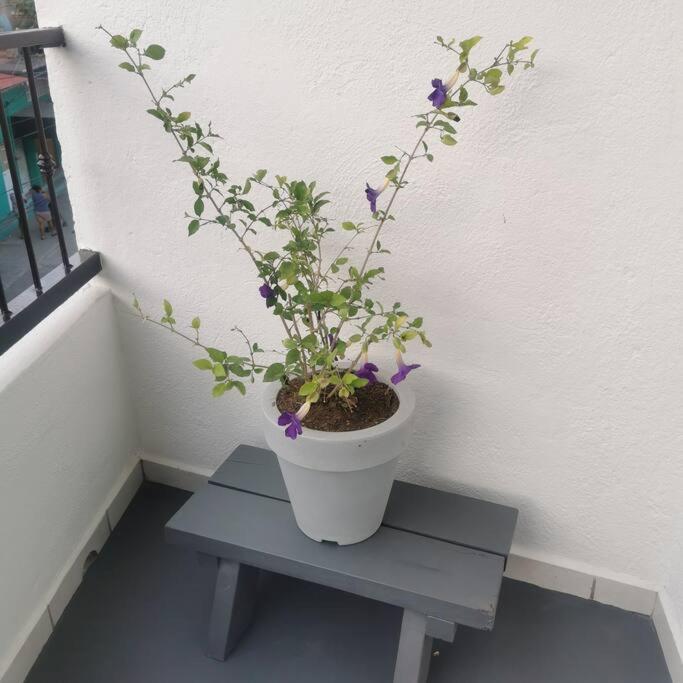 Lovely Studio Apartment With Balcony Ac & Wi-Fi, Minutes From Downtown! 지와타네호 외부 사진