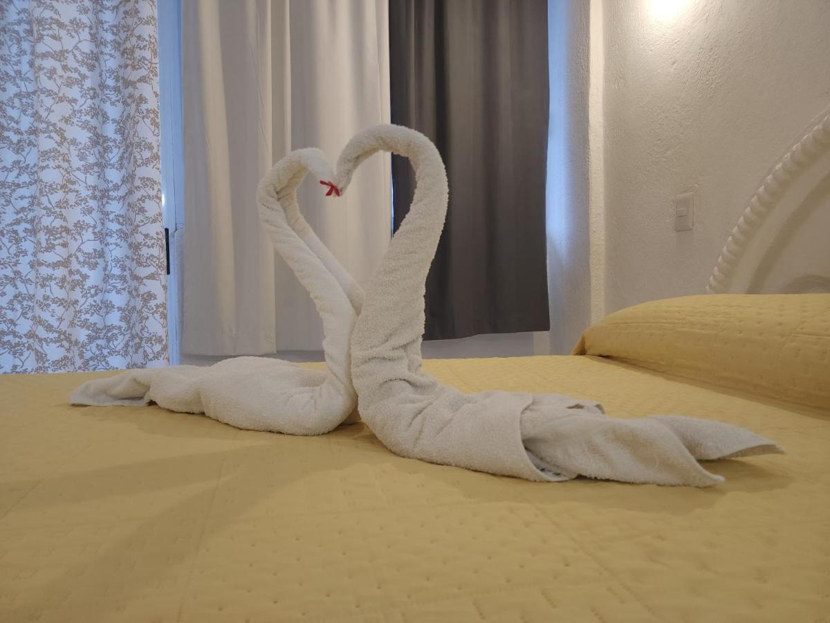 Lovely Studio Apartment With Balcony Ac & Wi-Fi, Minutes From Downtown! 지와타네호 외부 사진